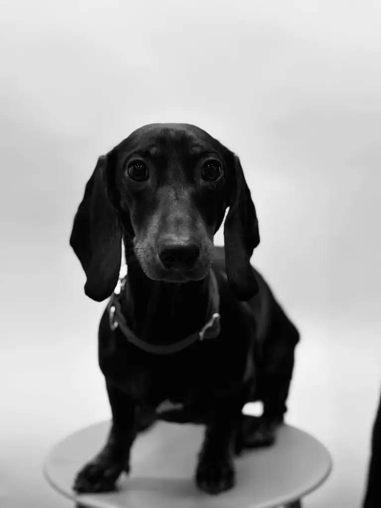 20250129_072959193_iOS