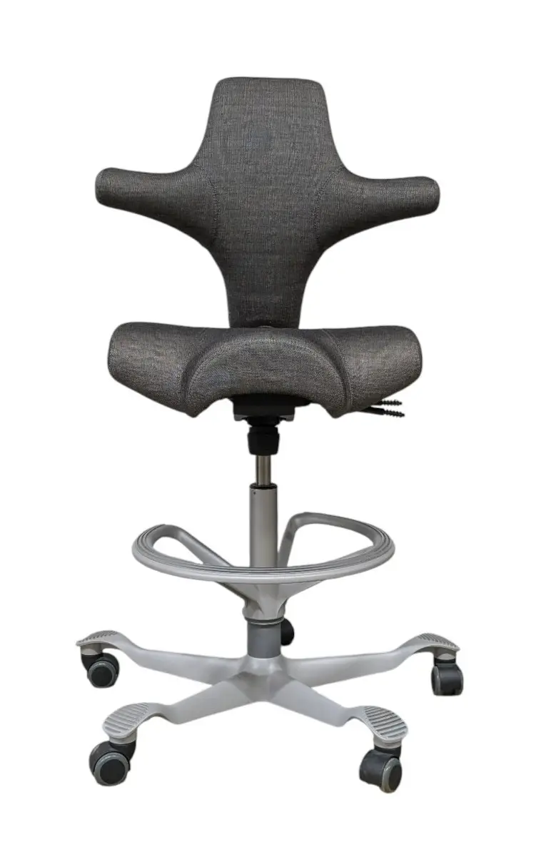 Kontorsstol HÅG Capisco Grå (4)