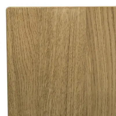 Bordsskiva Ek 119,5×60