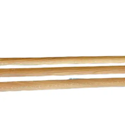 Hatthylla Stolab Ek (1)