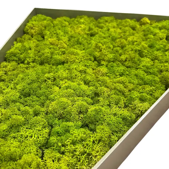 329283 (3)-Photoroom