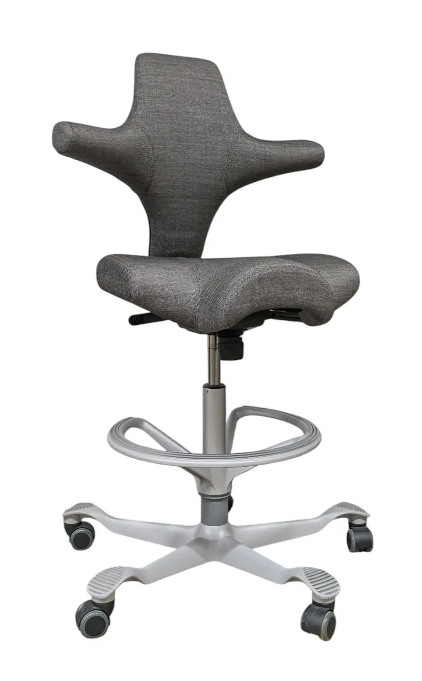 Kontorsstol HÅG Capisco Grå (6)