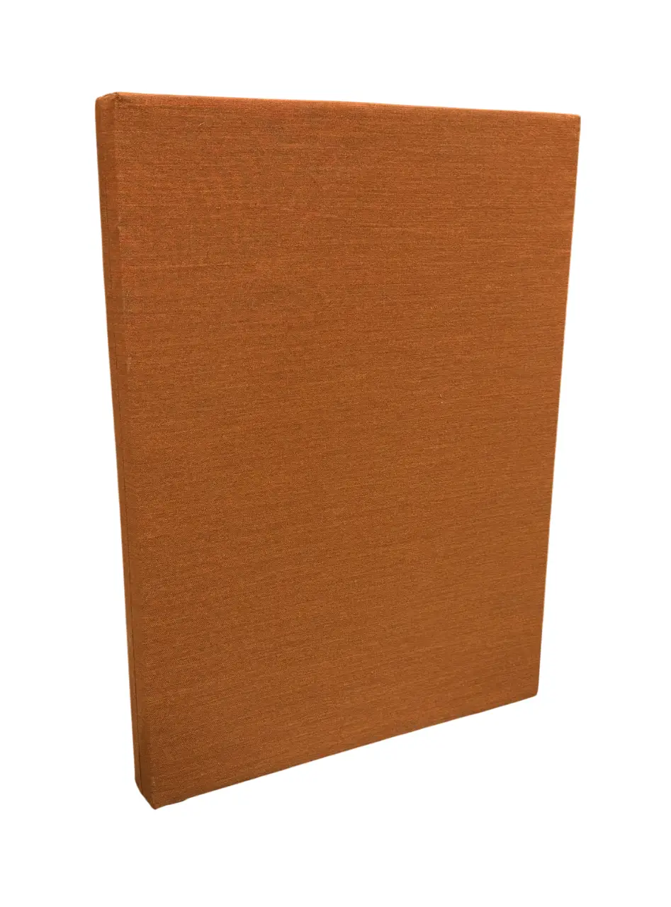 Ljudabsorbent Zilenzio Divider Takhängd Orange 60×80