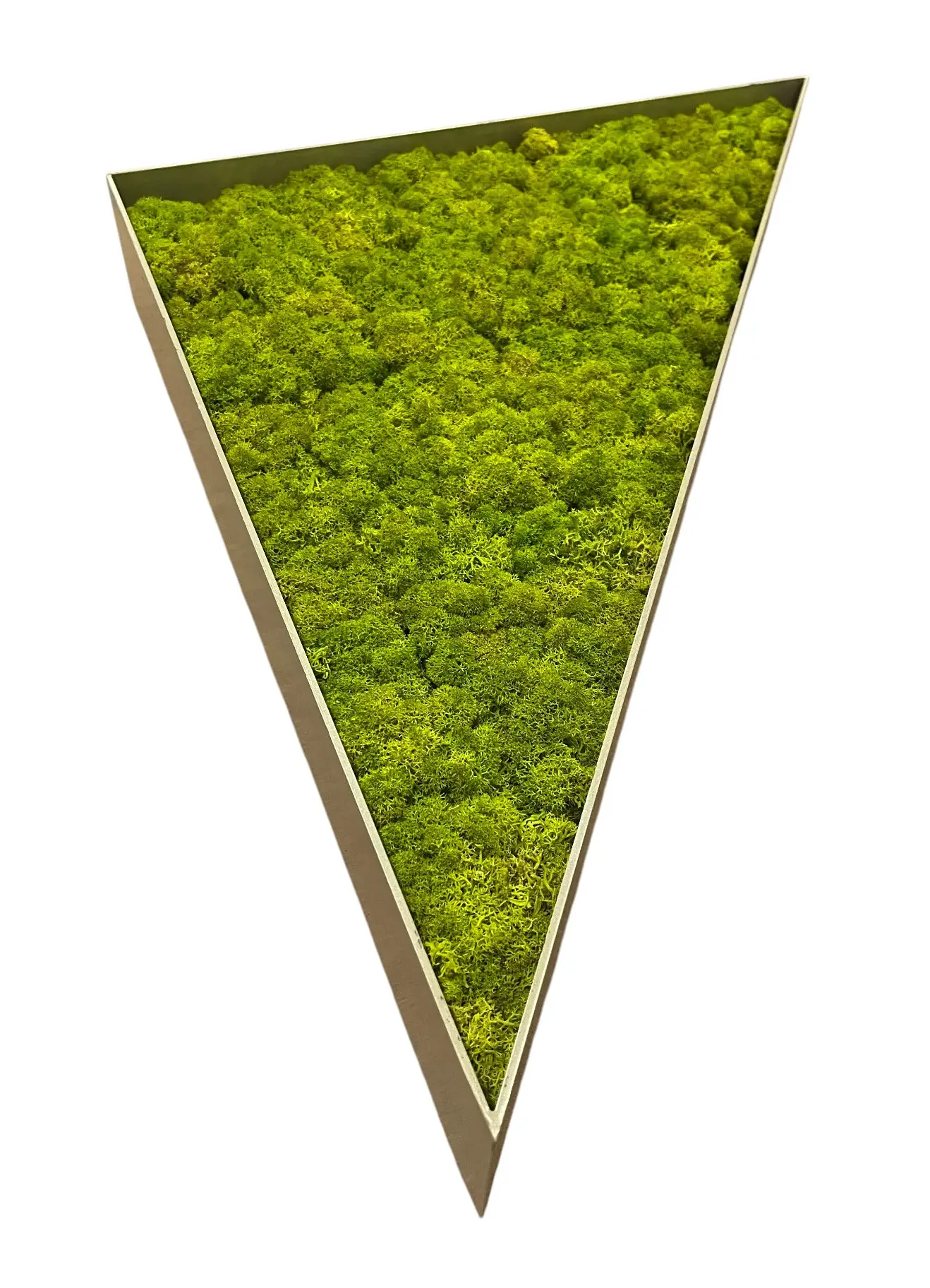 329283 (2)-Photoroom