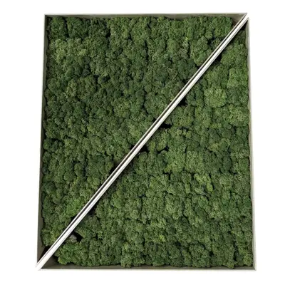 Mosstavla Mörkgrön 60×50