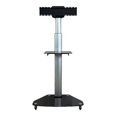 Tv-stativ SilverSvart