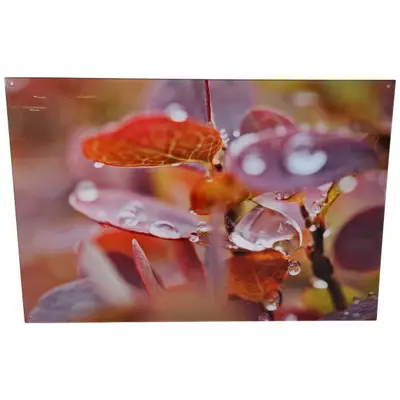 Tavla Löv och regndroppar 120x80cm