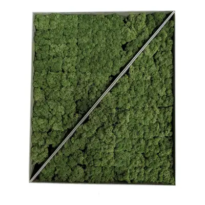 Mosstavla Grön 60×50