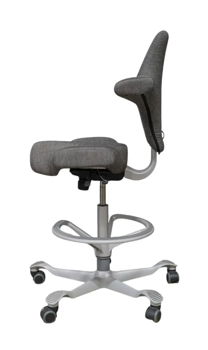 Kontorsstol HÅG Capisco Grå (3)