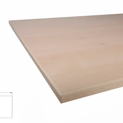 Bordsskiva Björk 120x60