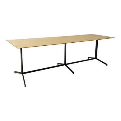 Konferensbord Edsbyn Feather Björk/Svart 300×100×90