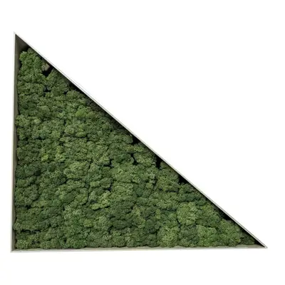 Mosstavla Mörkgrön 60×50