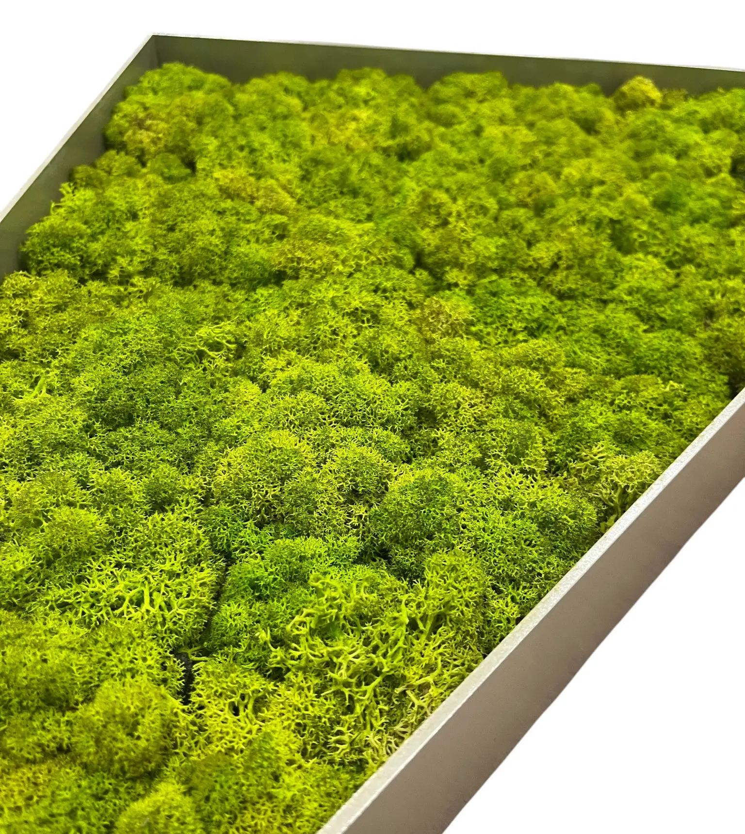 329283 (3)-Photoroom