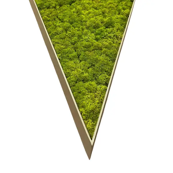 329283 (2)-Photoroom