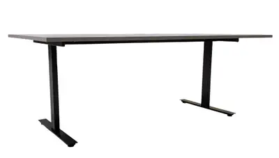 Bord AskSvart 200×100