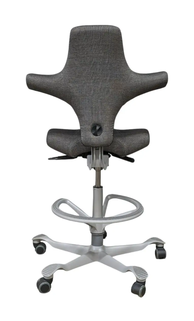 Kontorsstol HÅG Capisco Grå (2)