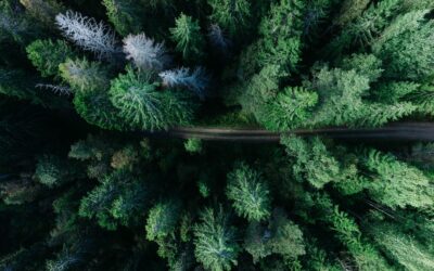 Hållbar konsumtion för att bekämpa klimatförändringarna. Men hur?